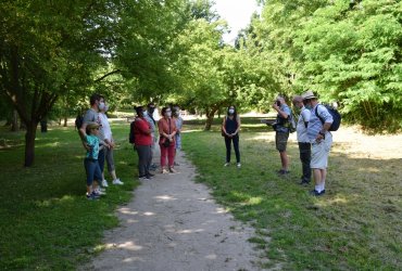 RANDONNÉE MILLE PATTES DANS LA VILLE ET LE PARC - 12 JUIN 2021